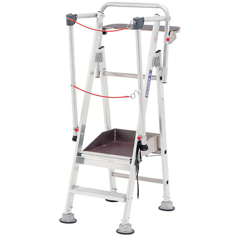 Escabeau 2 marches pour rayonnage - Hauteur de travail maximale 2.50m - 2273102