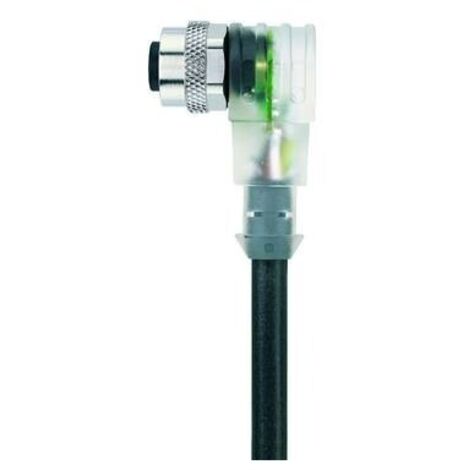 Escha 8045238 Connettore confezionato per sensore o attuatore M12 Presa angolata 5.00 m Numero di poli: 4 1 pz.