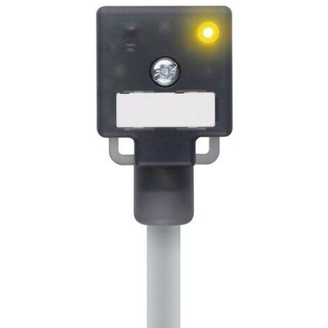 Escha VA41-24.2-5/P01 8047822 D96370