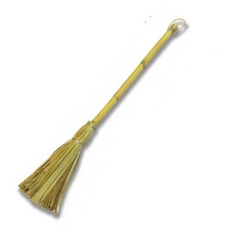 ESCOBILLA PALMA Y CAÑA 34003