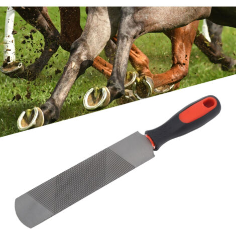 Escofina para cascos de acero al carbono de 8 pulgadas con mango ergonómico y suave para caballos y ponis. Tamaño: 32,5 cm. Modelo profesional.