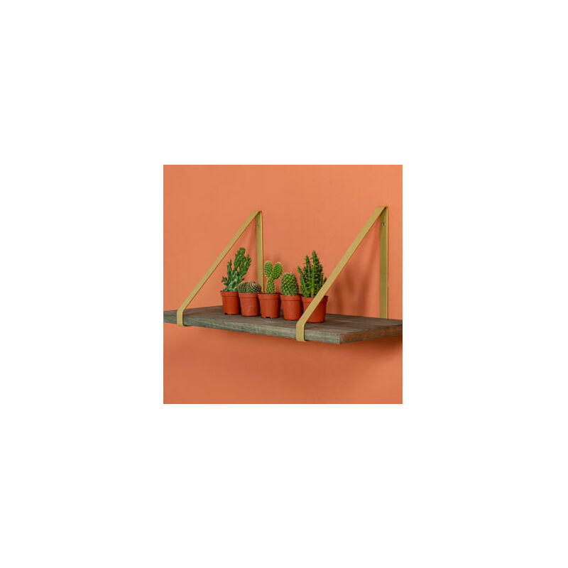 

Escuadra Soporte Metal Plano Laton Set 2 Uds 24 X 26,2 Cm - Duraline