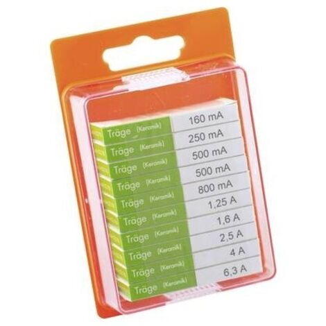 ESKA 122850 Assortimento di mini fusibili (Ø x L) 5 mm x 20 mm Ritardato Contenuto 100 pz.