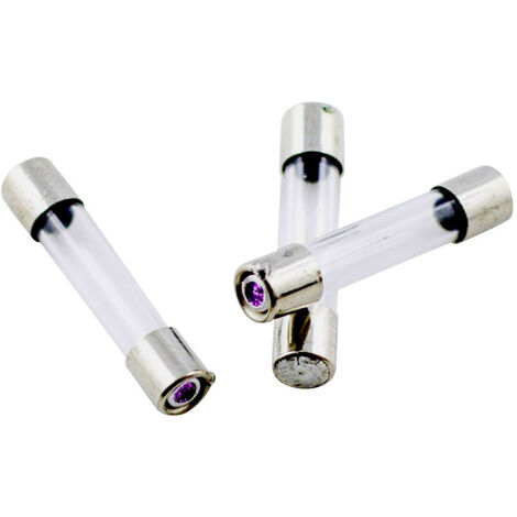 ESKA 528.021 528021 Feinsicherung (Ø x L) 5 mm x 25 mm 2.5 A 250 V Mittelträge -mT- Inhalt 10 St.