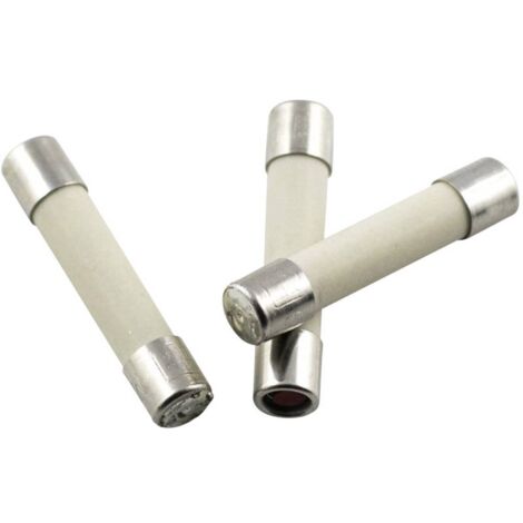 Eska 52826 Fusibile Semi-Temporizzato Ceramico 5x25mm 8A 250V