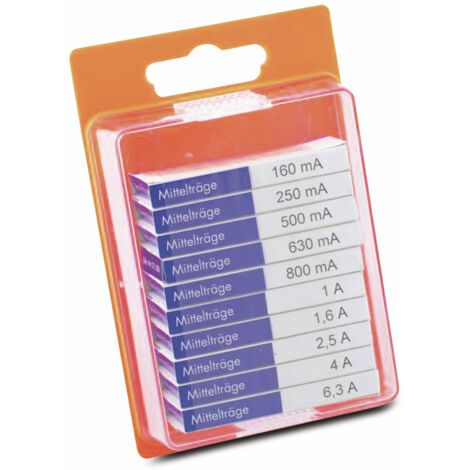 ESKA Feinsicherung-Sortiment, 121800,(Ø x L) 5 mm x 20 mm Mittelträge -M- Inhalt 100 St.