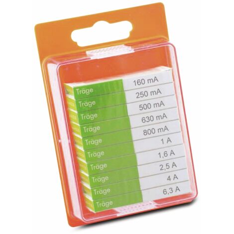ESKA Feinsicherung-Sortiment, 122800, (Ø x L) 5 mm x 20 mm Träge -T- Inhalt 100 St.