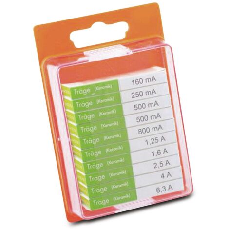 ESKA Feinsicherung-Sortiment, 122850, Keramik, (Ø x L) 5 mm x 20 mm Träge -T- Inhalt 100 St.