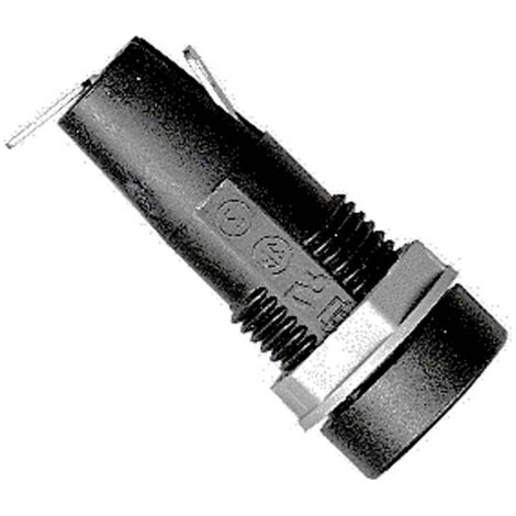 ESKA Porte-fusible pour voiture 10 A 1 pc(s) Y416323