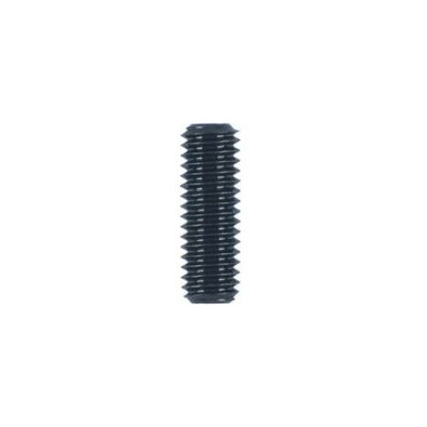 ESPARRAGO ALLEN 913 06X08 C-45 H FONTANA 1.000 PZ