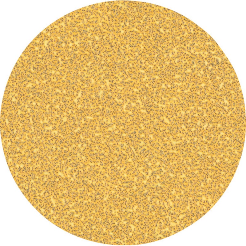 Accessori Bosch Bosch Professional 50 x Expert Carta vetrata C470, per legno duro, vernice su legno, 125 mm, grana 40, Accessori Smerigliatrice