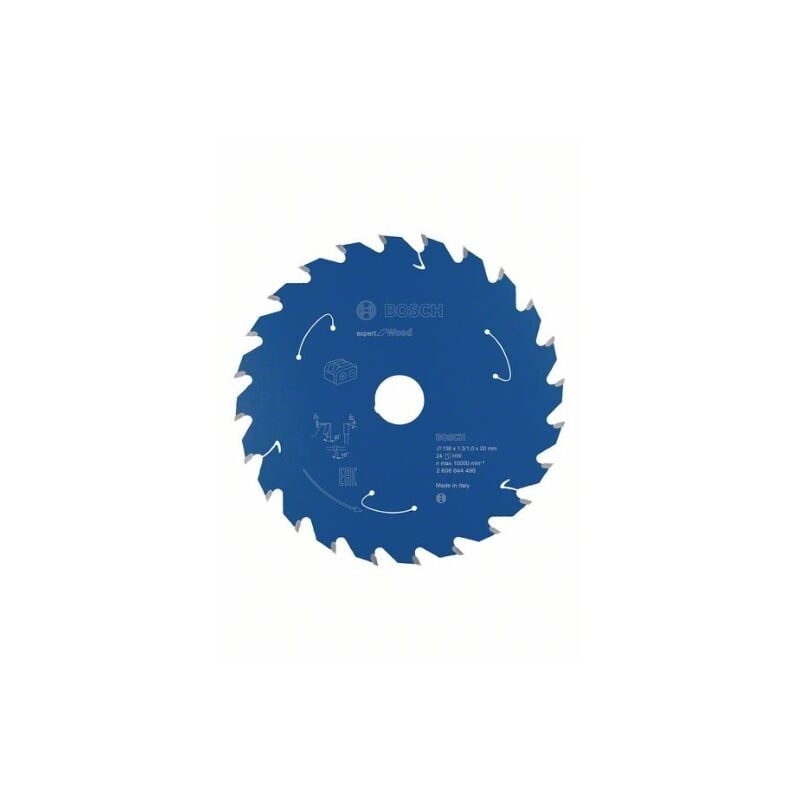 Esperto circolare della lama della sega per il