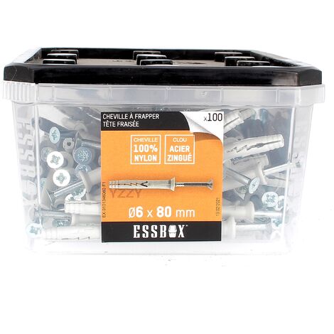 ESSBOX de 100 Chevilles Clous TF 6X80 Acier