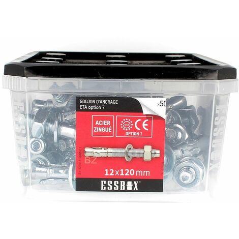 ESSBOX de 25 Goujons D'Ancrage 12X120 Acier