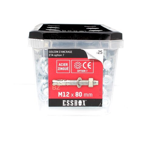 ESSBOX de 25 Goujons D'Ancrage 12X80 Acier