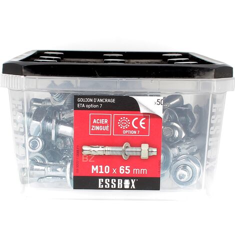 ESSBOX de 50 Goujons D'Ancrage 10X65 Acier