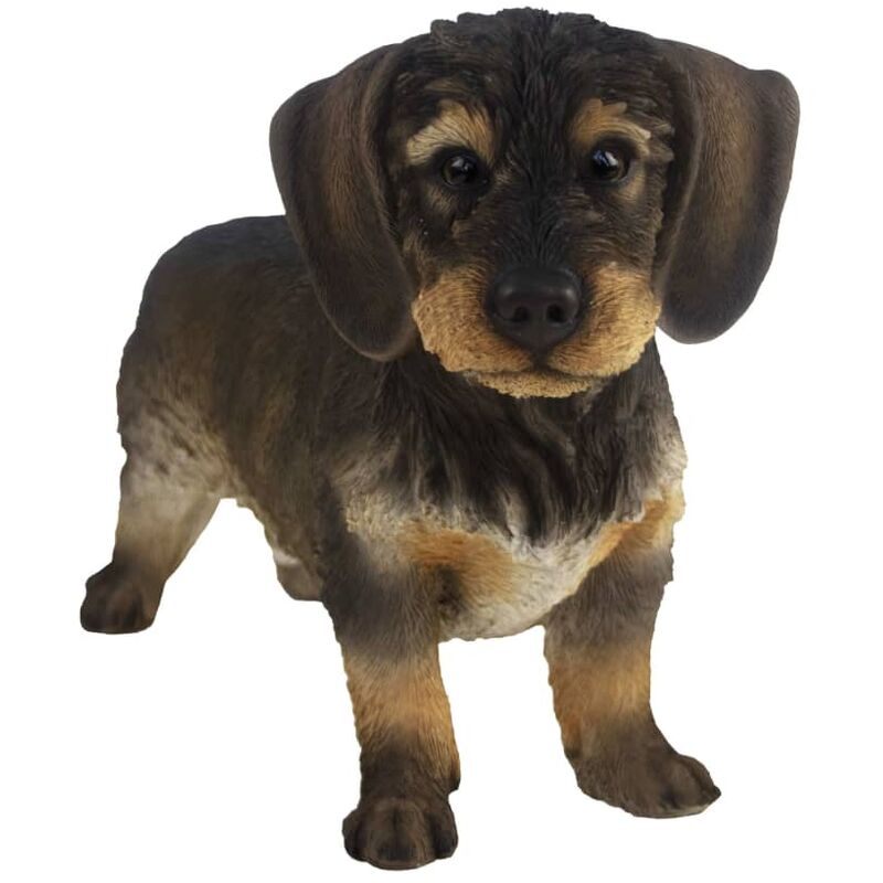 

Esschert Design Estatua de teckel de pelo duro 50x15x27,8 cm