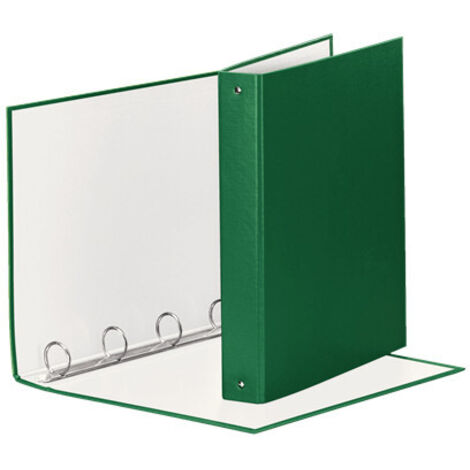Esselte 395792600 raccoglitore ad anelli Verde