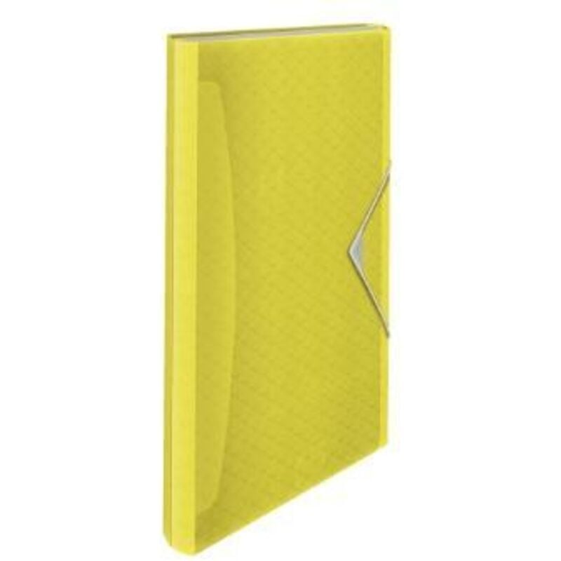

Esselte - carpeta acordeon colourice 5 pestaÑas 6 compartimentos polipropileno amarillo translucido
