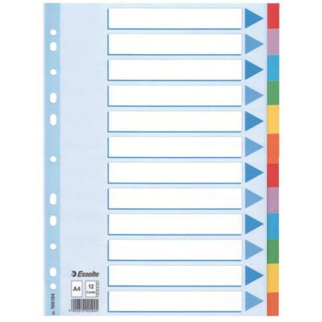 Esselte Multi-coloured Cardboard Dividers divisore 10 pz