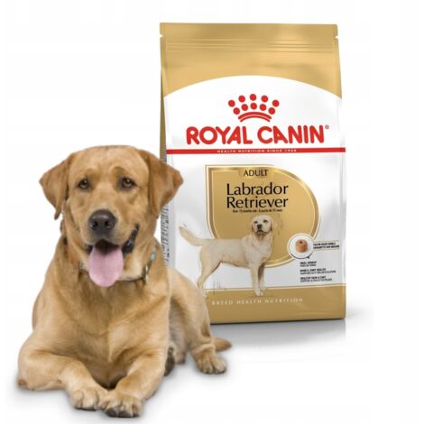 Essen, Royal Canin Labrador Retriever Erwachsener Erwachsener und Maduro Dog (ab 15 Monaten) - 12 kg