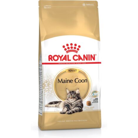 Essen, Royal Canin Maine Coon fЩr erwachsene Katzen - 4 kg