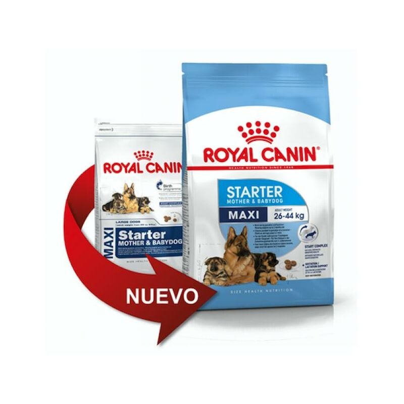 Essen, Royal Canin Maxi Starter Large Tama Cubs (bis zu 2 Monate) und schwangere MÐ©tter - 15 kg