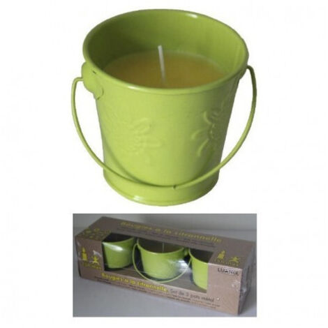 ESSENTIEL Lot de 3 bougies à la citronnellegrisclair - ESSENTIEL