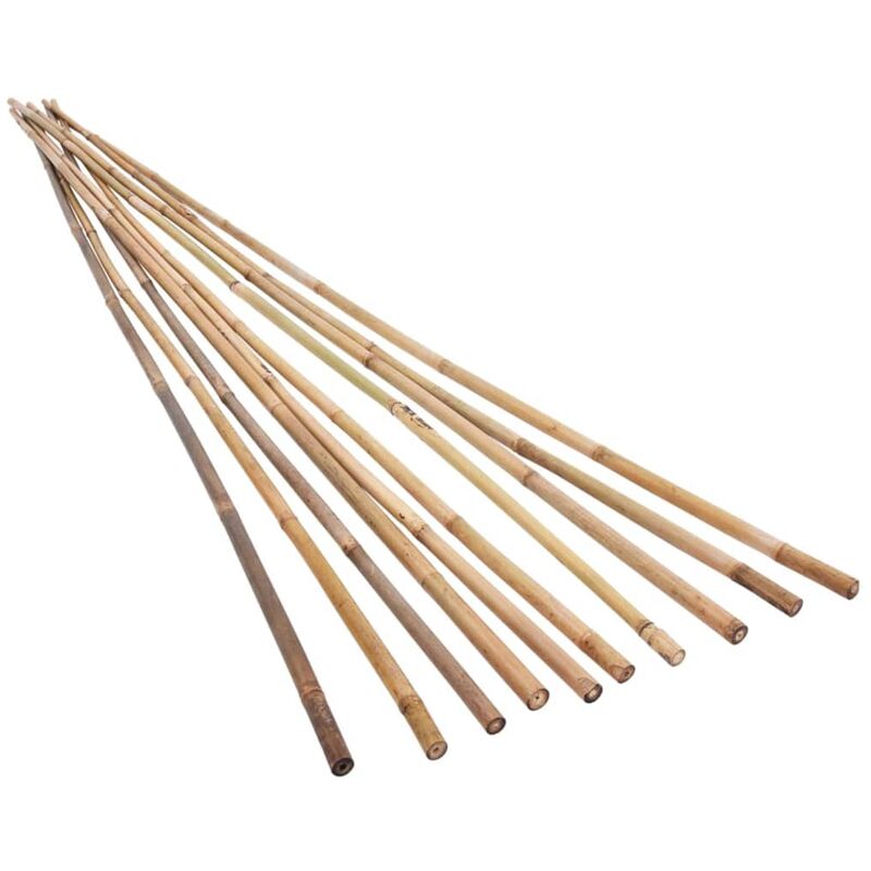 

vidaXL Estacas de bambú de jardín 50 piezas 150 cm - Marrón