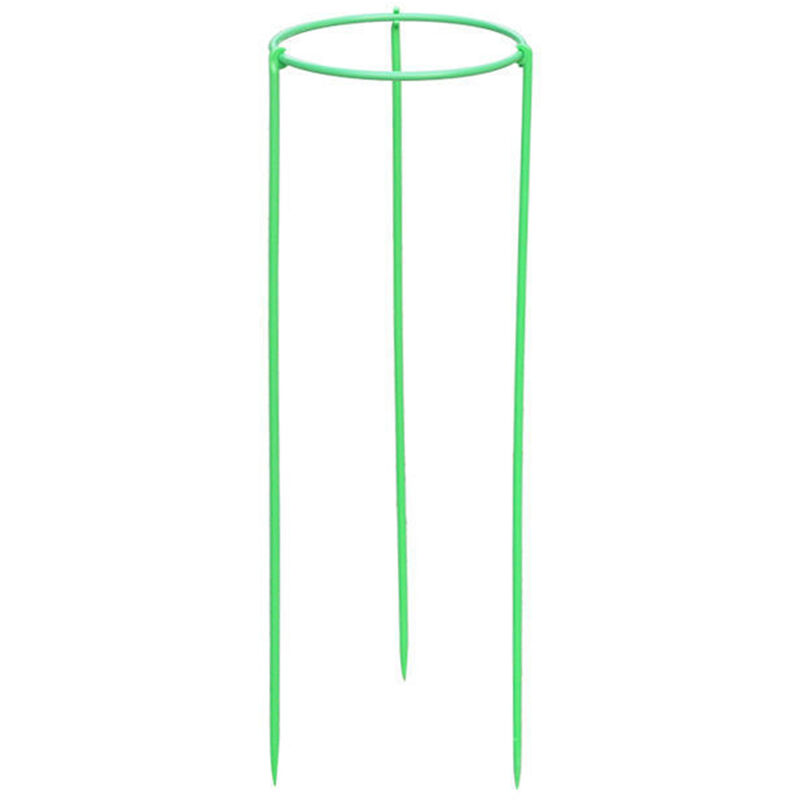 

Estacas de soporte para plantas trepadoras Soporte para plantas altas Jaula Rin-g para plantas de jardin Flor Vegetal, XL y 1 pieza