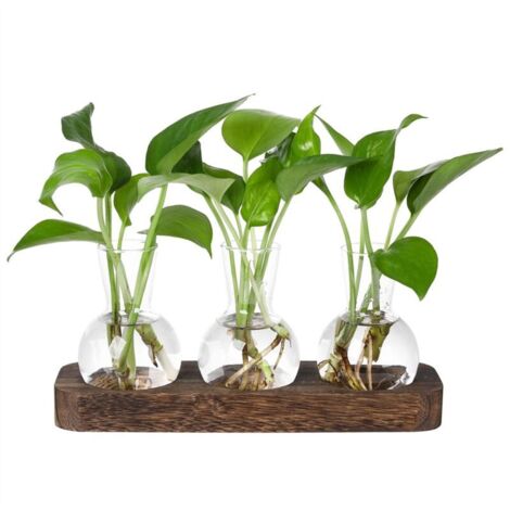 Estaciones de propagación de plantas, estación de jarrón de cristal, terrario retro para plantas con bandeja de madera, decoración para el hogar y la oficina.
