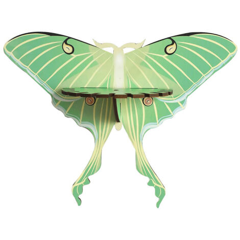 [Estante de pared] Estante de madera verde mariposa (27 x 30 cm) – Decoración minimalista