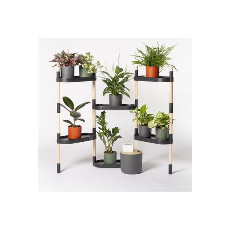 

Estantería para plantas color negro con riego automático CitySens 6 bandejas