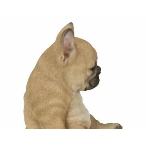 Estatua robusta de bulldog francés durmiendo, hecha de resina, para decoración de interiores y exteriores. Tamaño: 12 x 11 x 5 cm (acostado) y 17 x 9 x 8 cm (sentado). 1 pieza.