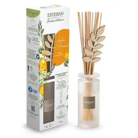ESTEBAN PARIS DIFFUSORE A BASTONCINO BOUQUET 100ML AMBRE ET BAUMES PROFUMATORI AMBIENTI