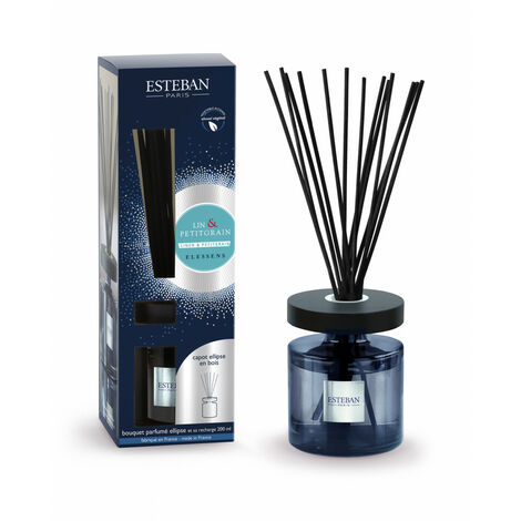 Set 10 Profumatori Ambiente Ricarica Olio Profumo 10ml Assortiti Per  Bruciatore - Trade Shop TRAESIO - Idee regalo