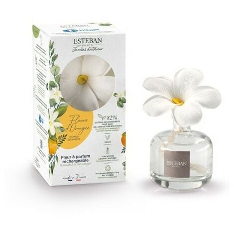 ESTEBAN PARIS RICARICA 500ML PER DIFFUSORE A BASTONCINO IRIS CACHEMIRE  PROFUMATORI AMBIENTI