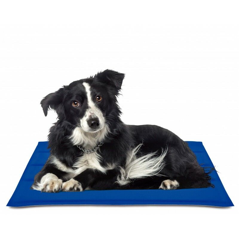

Esterilla refrescante COOL MAT GEL AZUL 90X50 cm