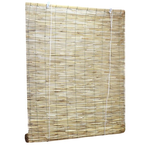 CATRAL ESTOR BAMBU PELADO VARIAS MEDIDAS NORTENE 1.2 X 2M