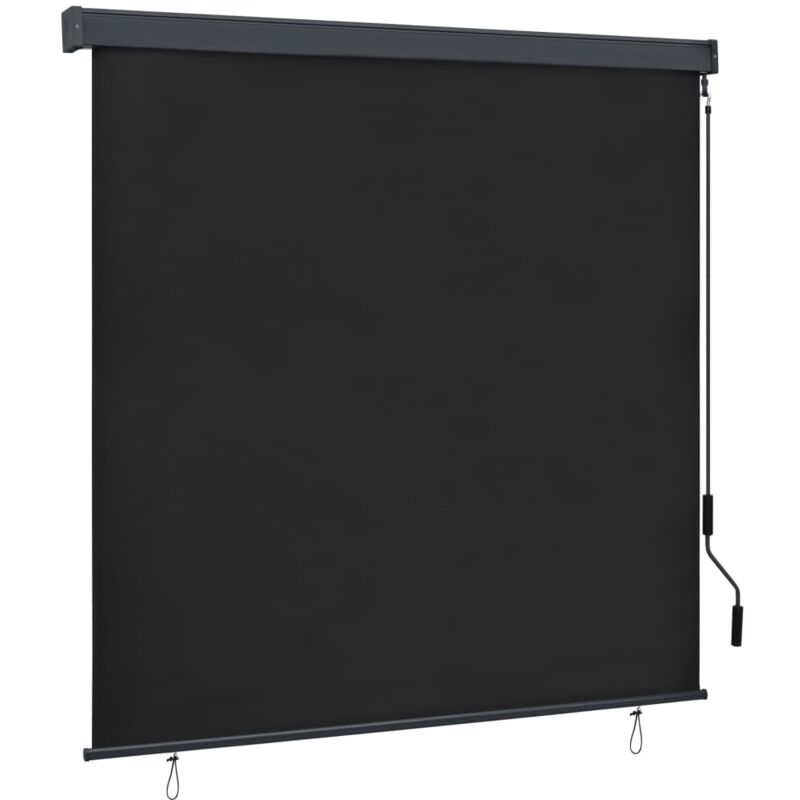 

vidaXL Estor enrollable de exterior gris antracita 160x250 cm - Antracita