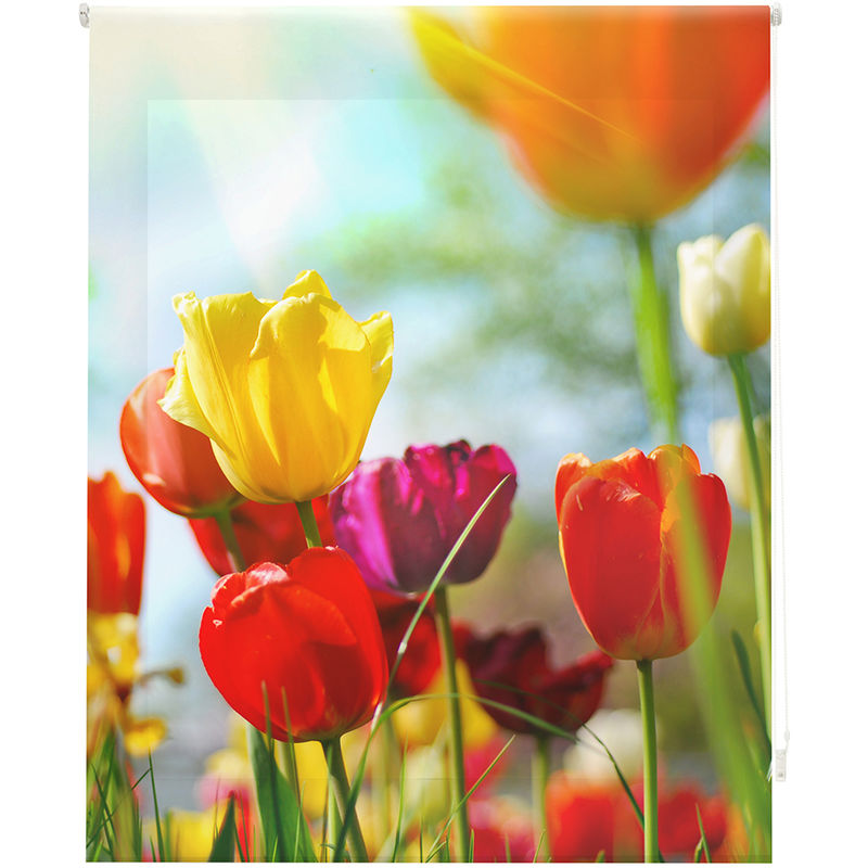 

Estor Enrollable Happystor Estampado Digital Paisajes HSP93004 105x250cm