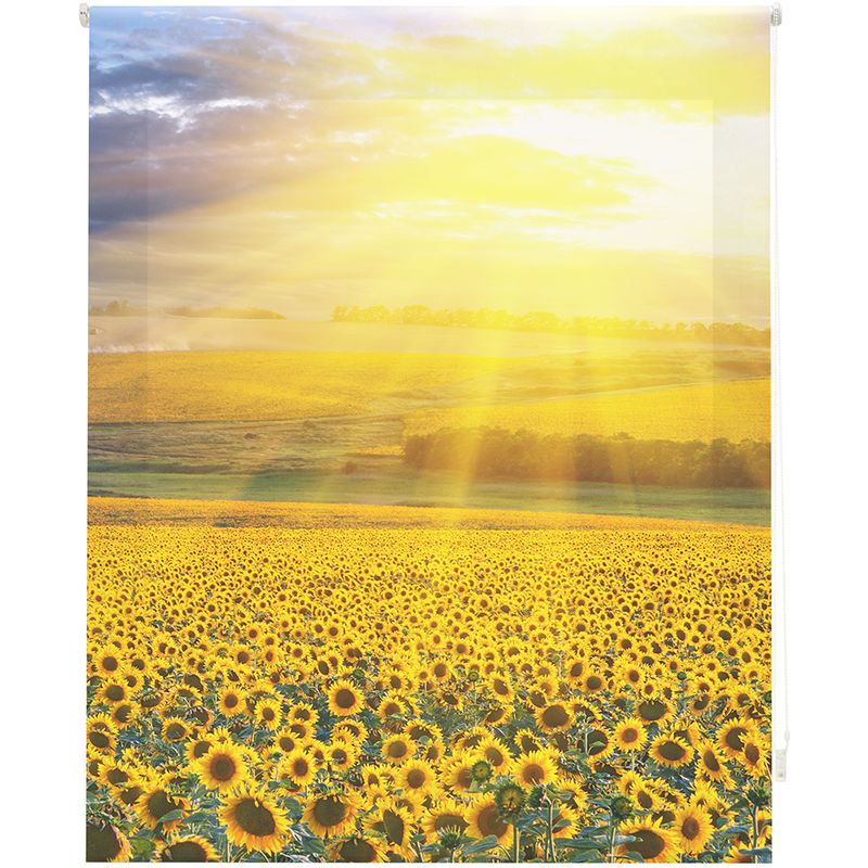 

Estor Enrollable Estampado Digital Paisajes HSP93005 185x250cm - Happystor