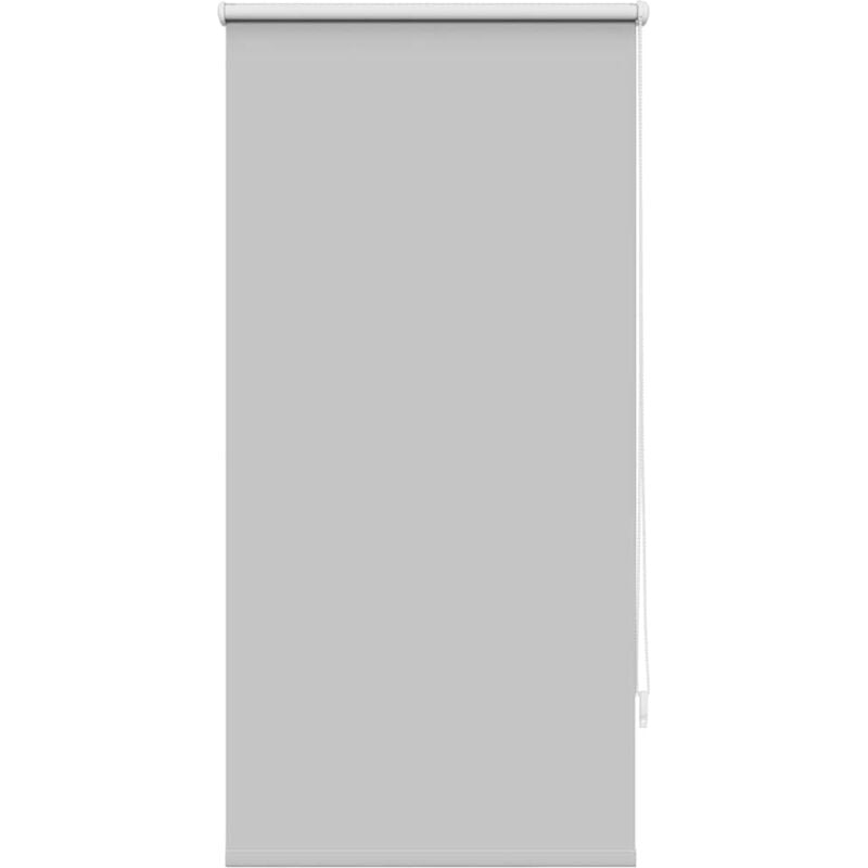 

vidaXL Estor Persiana Enrollable Opaca 60x120 cm Gris - Gris