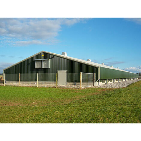 Estructura de matadero de aves de corral con juego completo, equipo de matadero, soldadura de acero prefabricada/columna de sección H laminada en caliente y viga