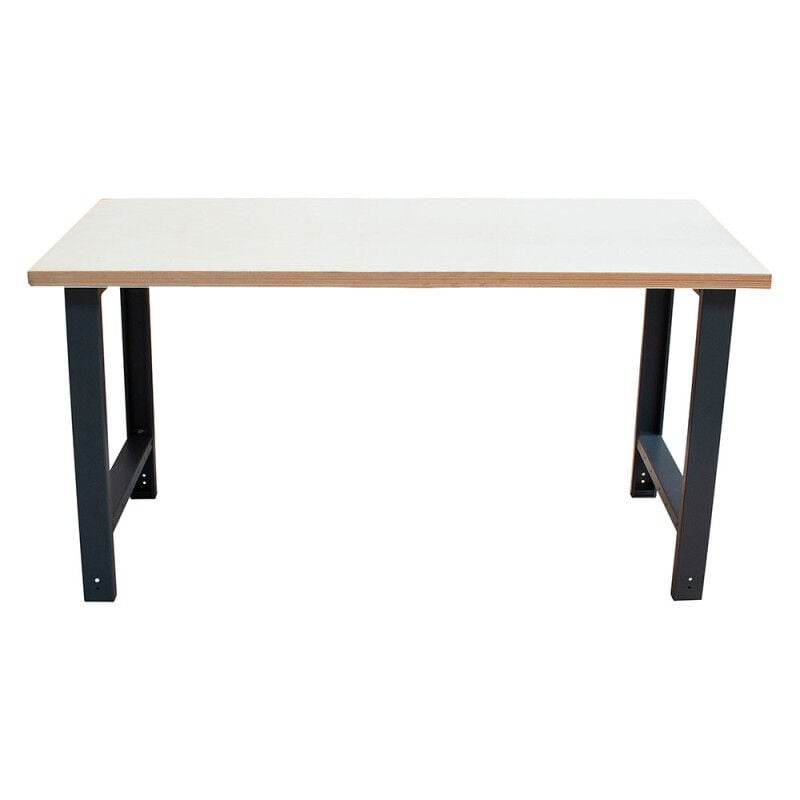 Etabli d'atelier fixe 2m