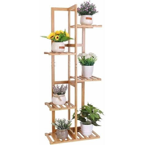 Etagere plante