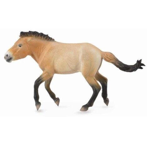 Étalon de Przewalski