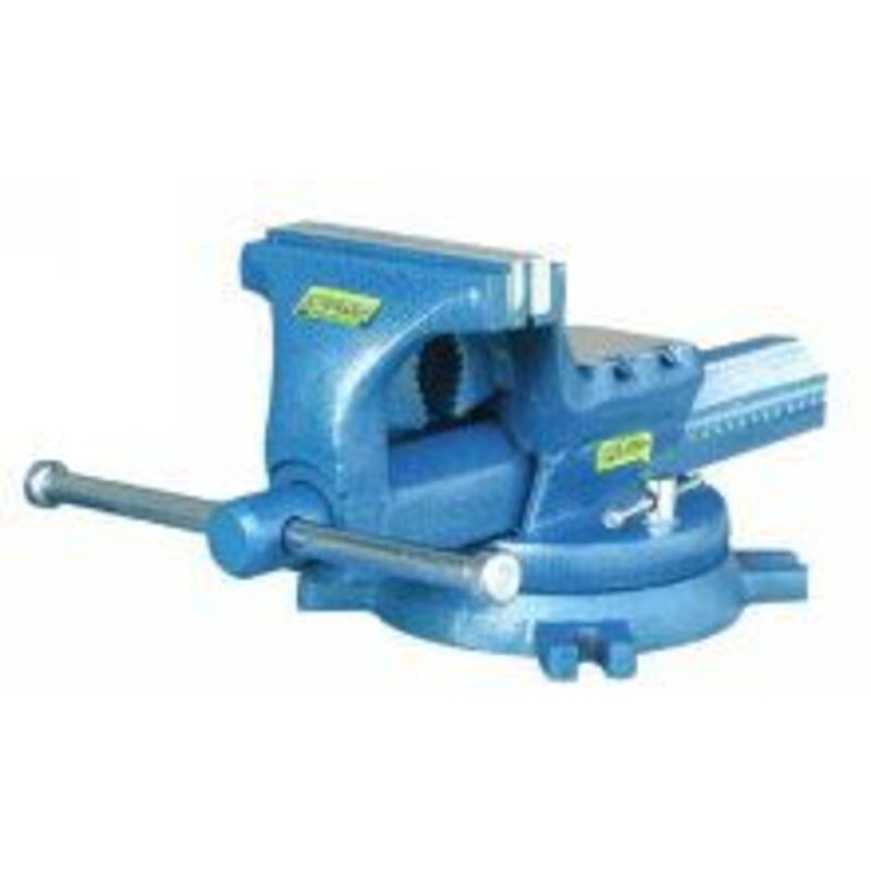 Outifrance - Etau en acier forgé Pro 125mm avec Base tournante