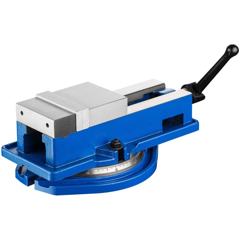 Tau de précision Machine Largeur de mâchoires 100mm Pivotant Outil de maintien Établi Atelier