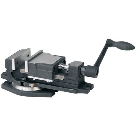 Étau de machine largeur de mors 100 mm avec plaque tournante/échelle de degrés envergure 65 mm WABECO